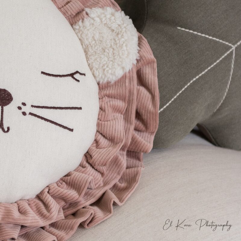 Coussin lion